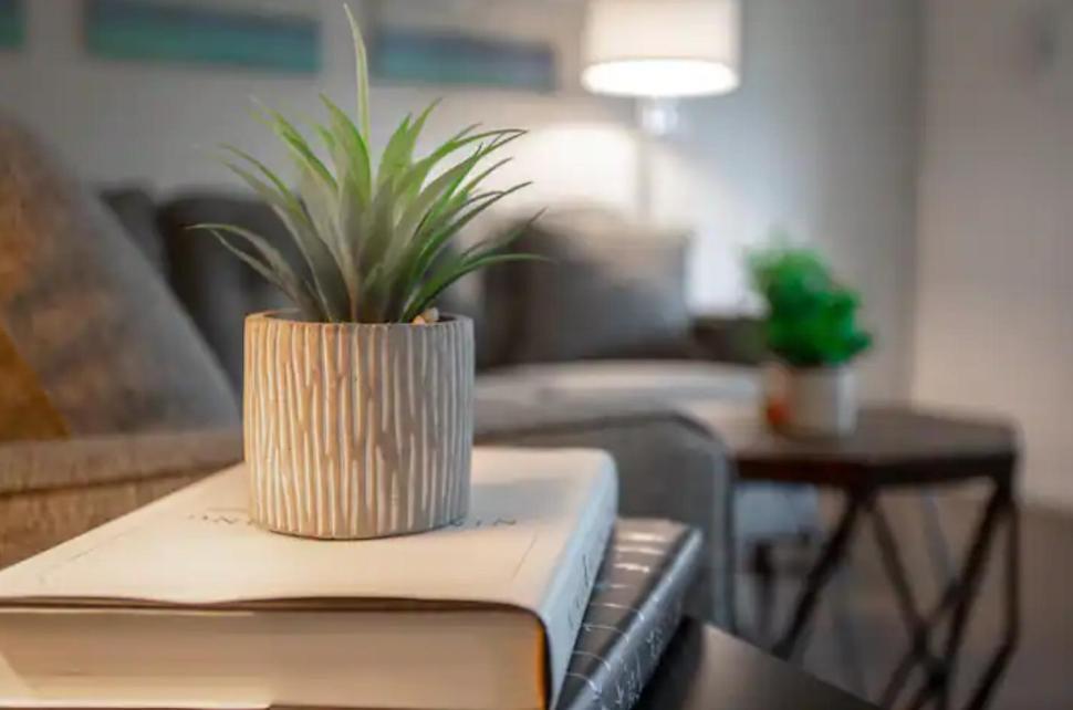 Apartament Westshore South Tampa Apt Zewnętrze zdjęcie